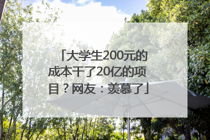 大学生200元的成本干了20亿的项目？网友：羡慕了