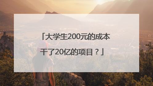 大学生200元的成本干了20亿的项目？