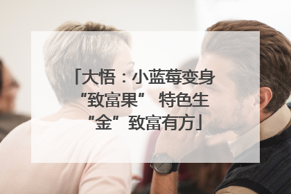 大悟：小蓝莓变身“致富果” 特色生“金”致富有方
