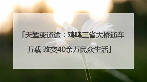 天堑变通途：鸡鸣三省大桥通车五载 改变40余万民众生活