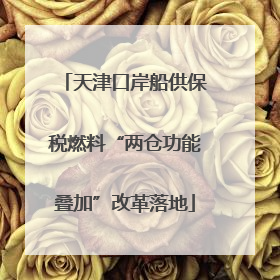 天津口岸船供保税燃料“两仓功能叠加”改革落地