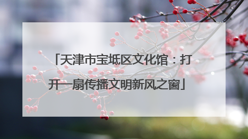 天津市宝坻区文化馆：打开一扇传播文明新风之窗