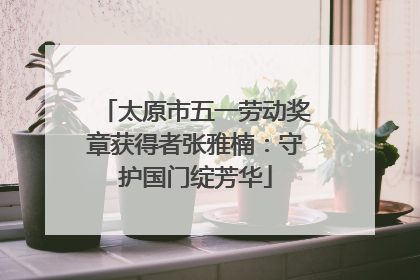 太原市五一劳动奖章获得者张雅楠：守护国门绽芳华