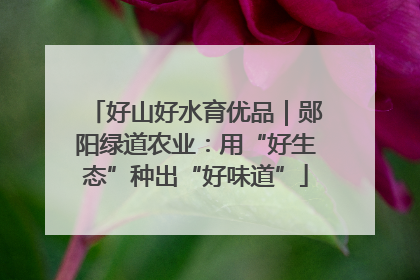 好山好水育优品｜郧阳绿道农业：用“好生态”种出“好味道”