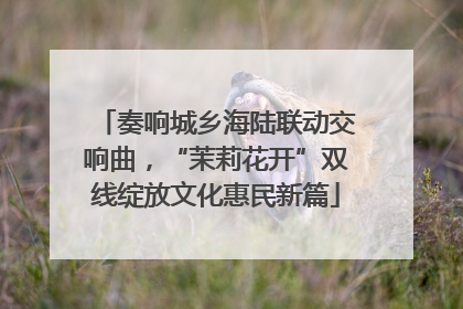 奏响城乡海陆联动交响曲，“茉莉花开”双线绽放文化惠民新篇