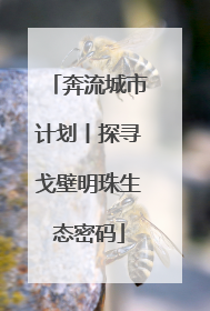 奔流城市计划丨探寻戈壁明珠生态密码