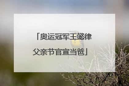 奥运冠军王懿律父亲节官宣当爸