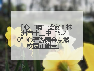 心“晴”盛宴！株洲市十三中“5.20”心理游园会点燃校园正能量