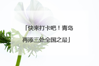 快来打卡吧！青岛再添三处全国之最