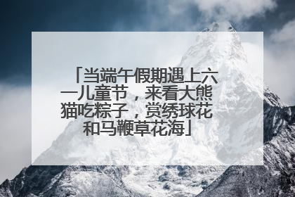 当端午假期遇上六一儿童节，来看大熊猫吃粽子，赏绣球花和马鞭草花海