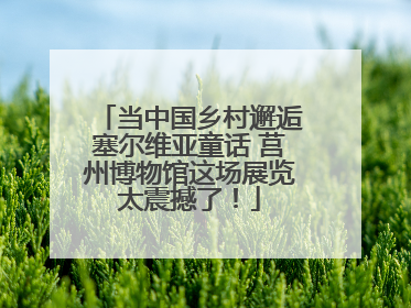 当中国乡村邂逅塞尔维亚童话 莒州博物馆这场展览太震撼了！