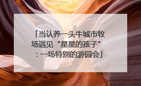 当认养一头牛城市牧场遇见“星星的孩子”：一场特别的游园会