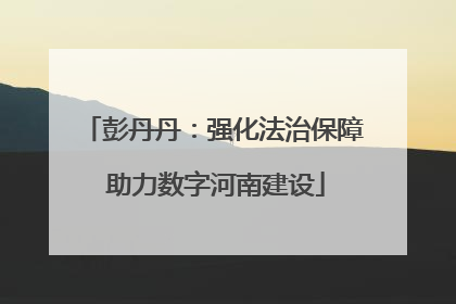 彭丹丹：强化法治保障 助力数字河南建设