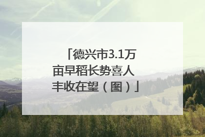 德兴市3.1万亩早稻长势喜人 丰收在望（图）