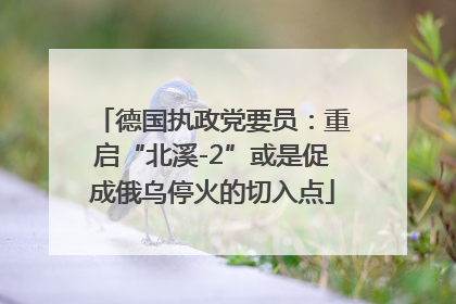 德国执政党要员：重启“北溪-2”或是促成俄乌停火的切入点