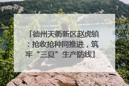 德州天衢新区赵虎镇：抢收抢种同推进，筑牢“三夏”生产防线