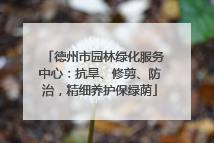 德州市园林绿化服务中心：抗旱、修剪、防治，精细养护保绿荫