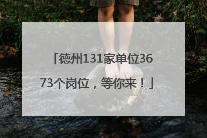 德州131家单位3673个岗位，等你来！