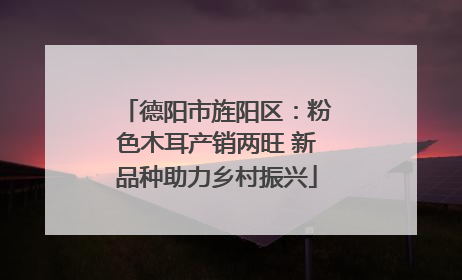 德阳市旌阳区：粉色木耳产销两旺 新品种助力乡村振兴