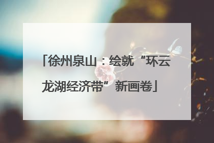 徐州泉山：绘就“环云龙湖经济带”新画卷
