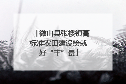 微山县张楼镇高标准农田建设绘就好“丰”景