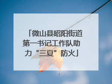 微山县昭阳街道第一书记工作队助力“三夏”防火