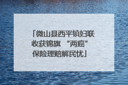 微山县西平镇妇联收获锦旗 “两癌”保险理赔解民忧