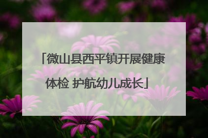 微山县西平镇开展健康体检 护航幼儿成长