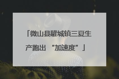 微山县驩城镇三夏生产跑出 “加速度”