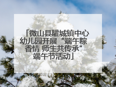 微山县驩城镇中心幼儿园开展“端午粽香情 师生共传承”端午节活动