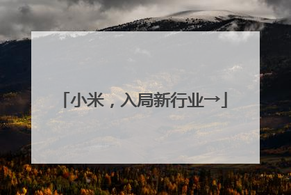 小米，入局新行业→