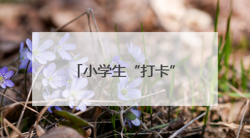小学生“打卡”法院 沉浸式感受“法”在身边