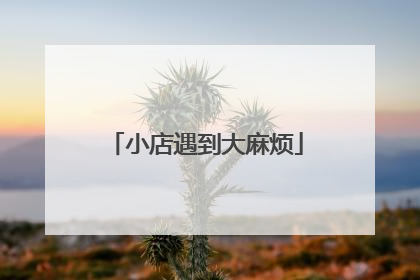 小店遇到大麻烦