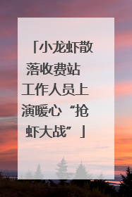 小龙虾散落收费站 工作人员上演暖心“抢虾大战”