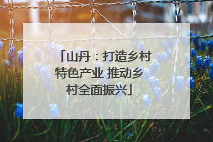 山丹：打造乡村特色产业 推动乡村全面振兴