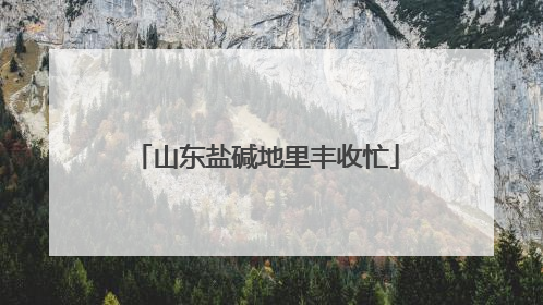 山东盐碱地里丰收忙