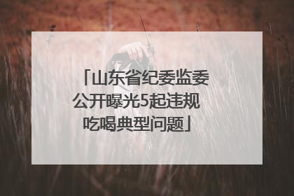 山东省纪委监委公开曝光5起违规吃喝典型问题