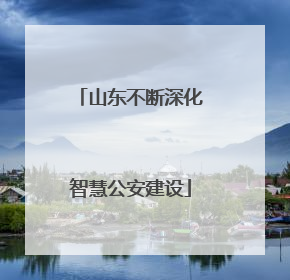 山东不断深化智慧公安建设