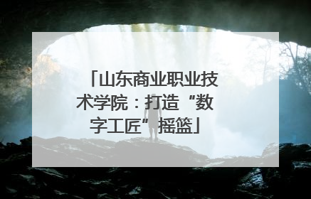 山东商业职业技术学院：打造“数字工匠”摇篮