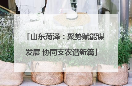 山东菏泽：聚势赋能谋发展 协同支农谱新篇