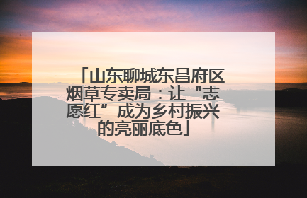 山东聊城东昌府区烟草专卖局：让“志愿红”成为乡村振兴的亮丽底色