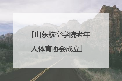 山东航空学院老年人体育协会成立