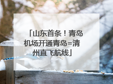 山东首条！青岛机场开通青岛=清州直飞航线