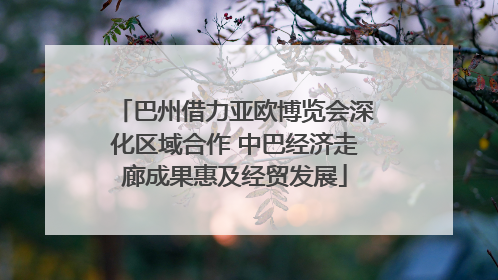 巴州借力亚欧博览会深化区域合作 中巴经济走廊成果惠及经贸发展