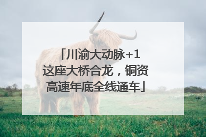 川渝大动脉+1 这座大桥合龙，铜资高速年底全线通车