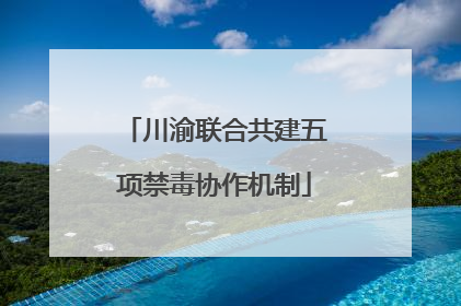 川渝联合共建五项禁毒协作机制
