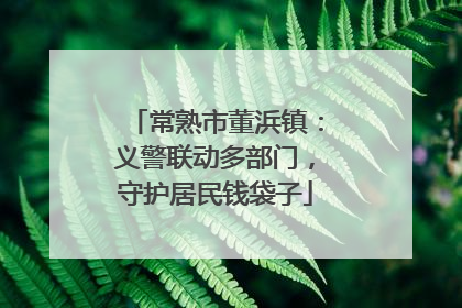 常熟市董浜镇：义警联动多部门，守护居民钱袋子