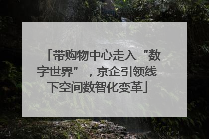 带购物中心走入“数字世界”，京企引领线下空间数智化变革