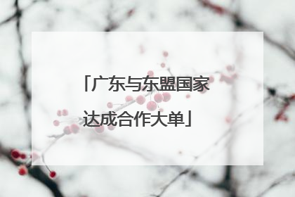 广东与东盟国家达成合作大单