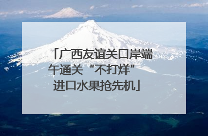 广西友谊关口岸端午通关“不打烊” 进口水果抢先机